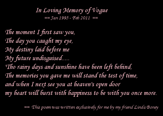 In Loving Memory of Vogue poem